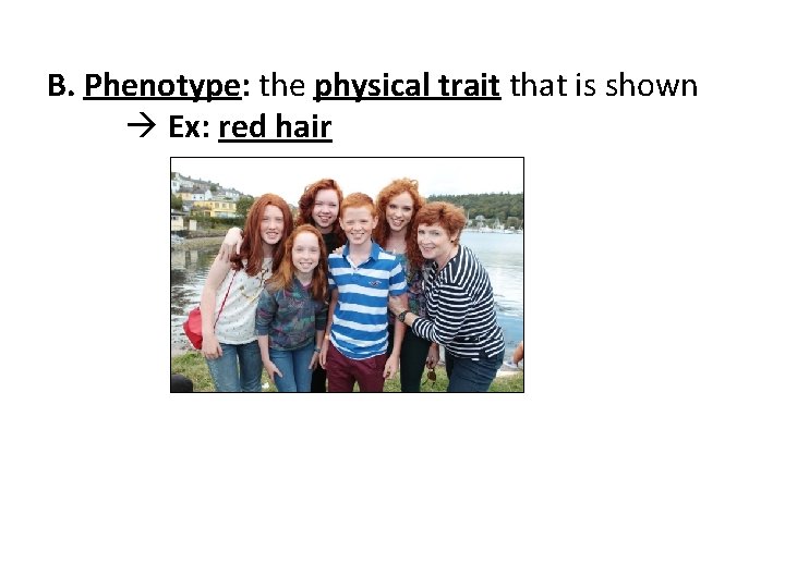 B. Phenotype: the physical trait that is shown Ex: red hair B. Phenotype: the physical trait that is shown Ex: red hair