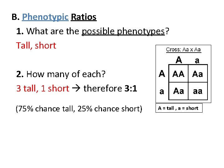 B. Phenotypic Ratios 1. What are the possible phenotypes? Tall, short 2. How many