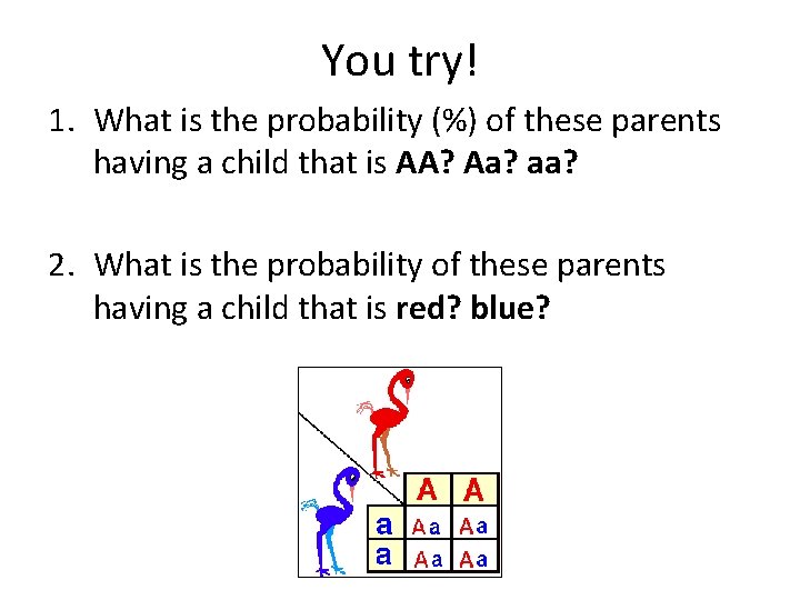 You try! 1. What is the probability (%) of these parents having a child