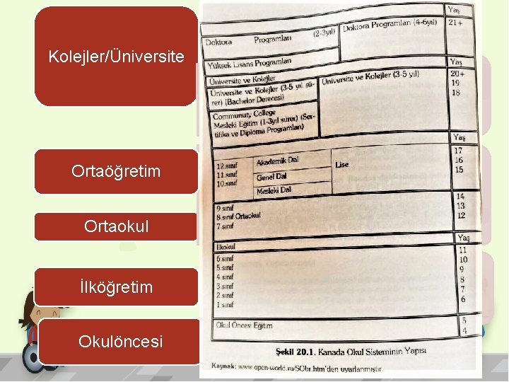 Kolejler/Üniversite • • 3 -5 6 yaş - 8 arası yıl arası (6– 12/14