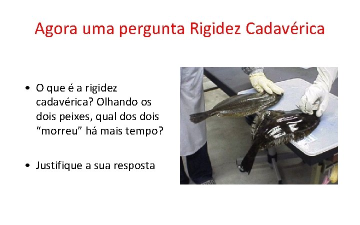 Agora uma pergunta Rigidez Cadavérica • O que é a rigidez cadavérica? Olhando os Agora uma pergunta Rigidez Cadavérica • O que é a rigidez cadavérica? Olhando os