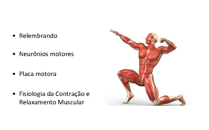 • Relembrando • Neurônios motores • Placa motora • Fisiologia da Contração e • Relembrando • Neurônios motores • Placa motora • Fisiologia da Contração e