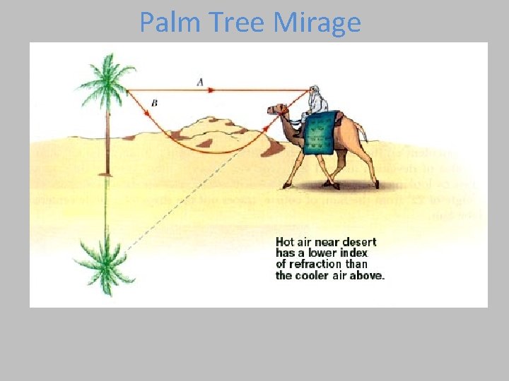 Palm Tree Mirage Palm Tree Mirage