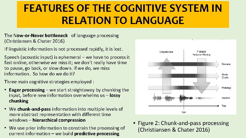 FEATURES OF THE COGNITIVE SYSTEM IN RELATION TO LANGUAGE The Now-or-Never bottleneck of language