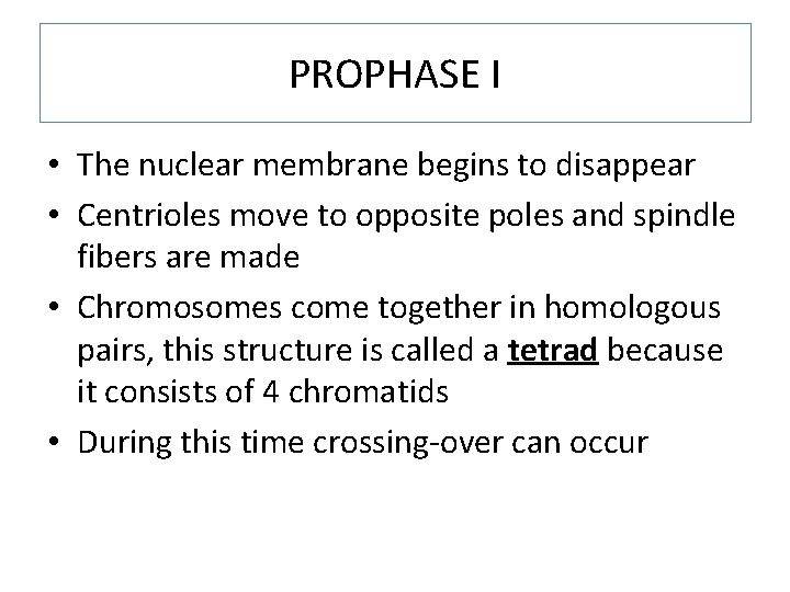 PROPHASE I • The nuclear membrane begins to disappear • Centrioles move to opposite