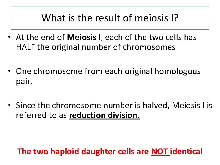 What is the result of meiosis I? • At the end of Meiosis I,