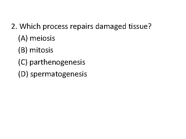 2. Which process repairs damaged tissue? (A) meiosis (B) mitosis (C) parthenogenesis (D) spermatogenesis