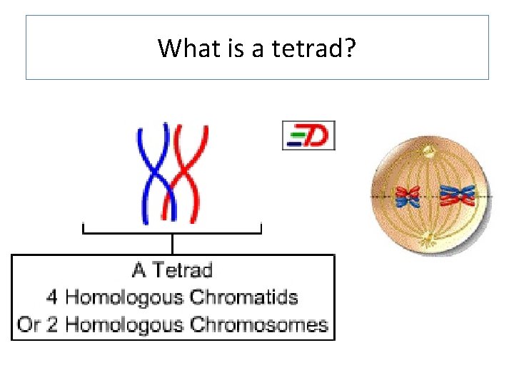 What is a tetrad? 