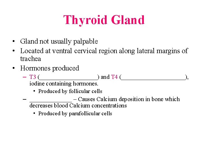 Thyroid Gland • Gland not usually palpable • Located at ventral cervical region along
