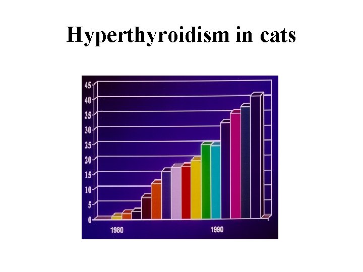 Hyperthyroidism in cats 