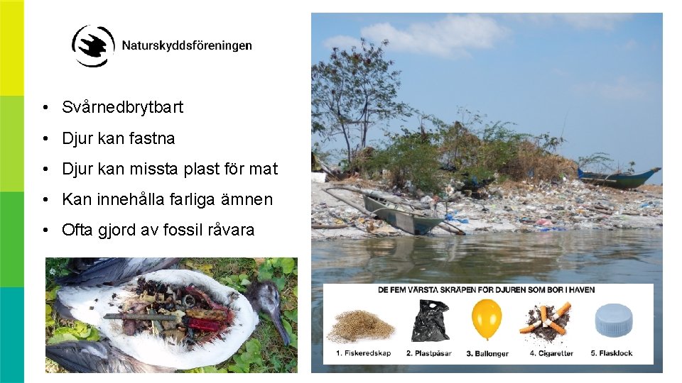  • Svårnedbrytbart • Djur kan fastna • Djur kan missta plast för mat