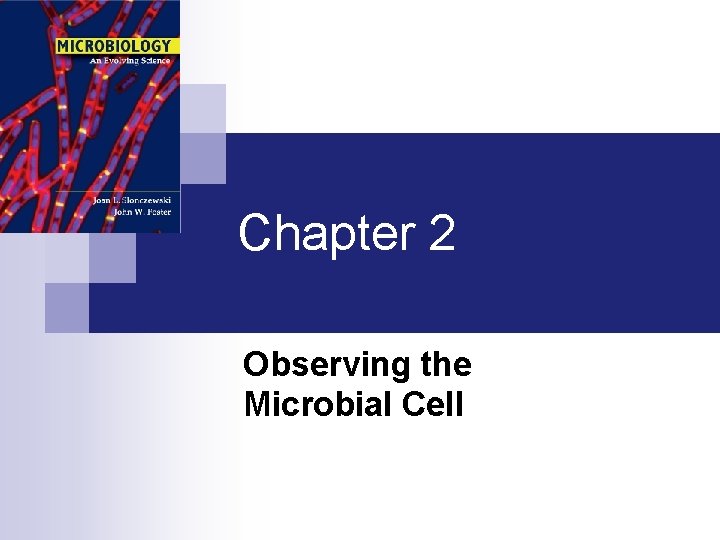 Chapter 2 Observing the Microbial Cell 