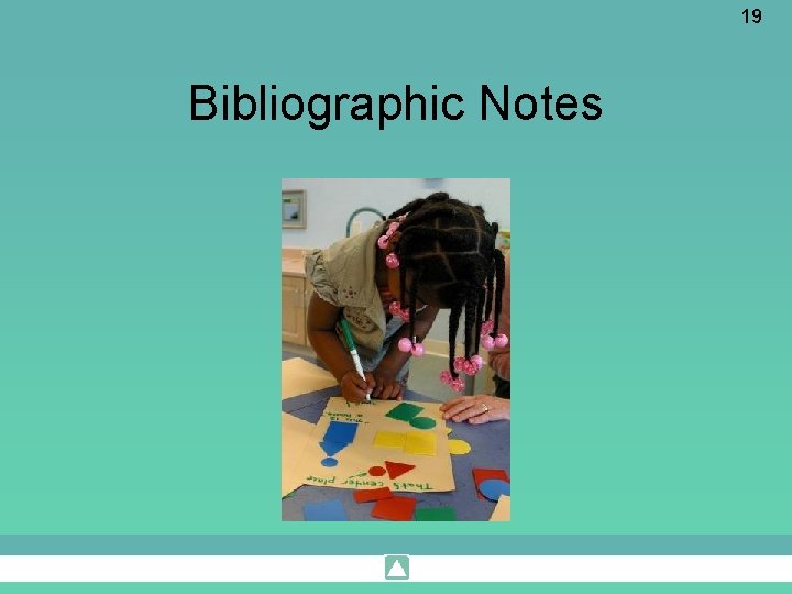 19 Bibliographic Notes 