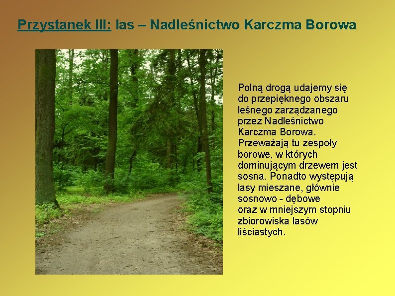 Przystanek III: las – Nadleśnictwo Karczma Borowa Polną drogą udajemy się do przepięknego obszaru