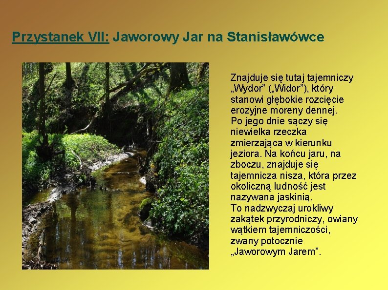 Przystanek VII: Jaworowy Jar na Stanisławówce Znajduje się tutaj tajemniczy „Wydor” („Widor”), który stanowi