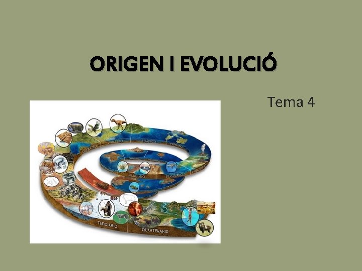 ORIGEN I EVOLUCIÓ Tema 4 