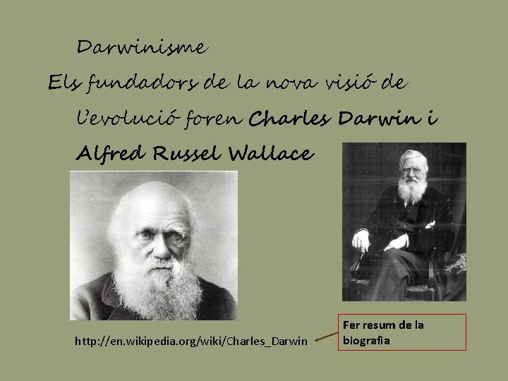 Darwinisme Els fundadors de la nova visió de l’evolució foren Charles Darwin i Alfred