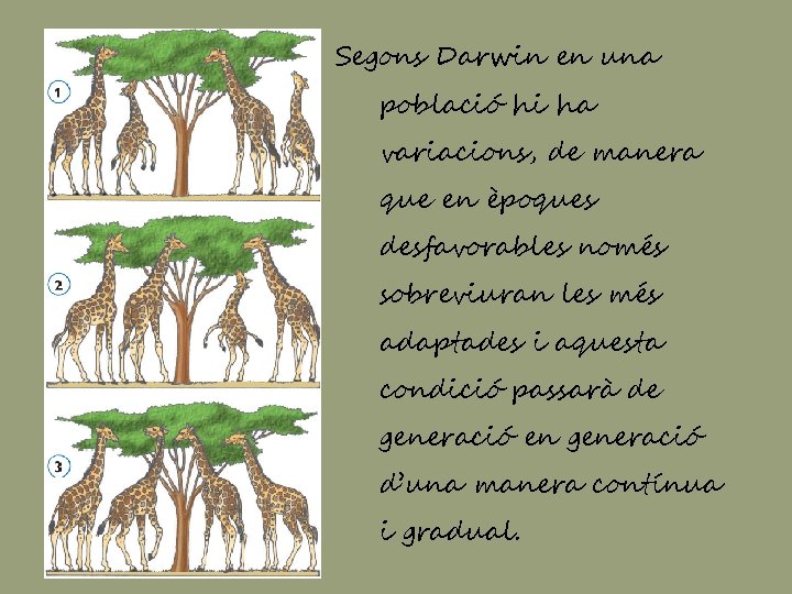 Segons Darwin en una població hi ha variacions, de manera que en èpoques desfavorables