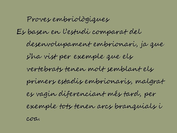 Proves embriològiques Es basen en l’estudi comparat del desenvolupament embrionari, ja que s’ha vist