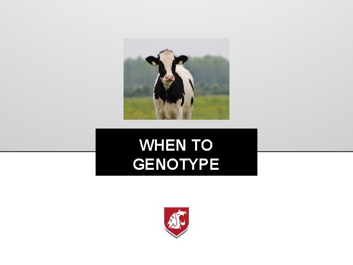 WHEN TO GENOTYPE 