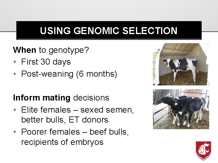 USING GENOMIC SELECTION When to genotype? • First 30 days • Post-weaning (6 months)