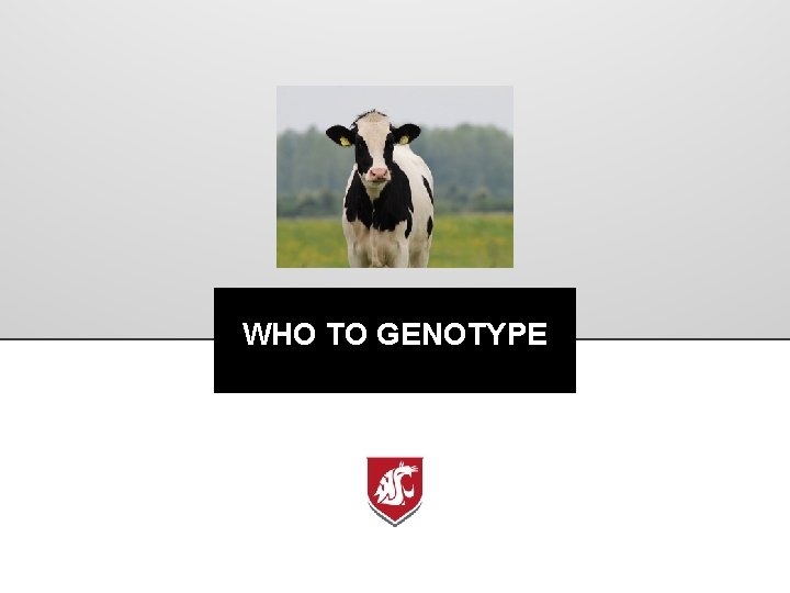 WHO TO GENOTYPE 
