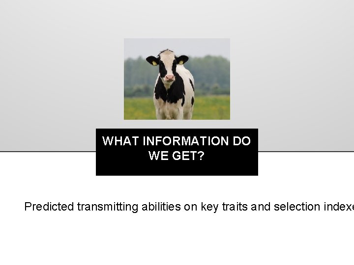 WHAT INFORMATION DO WE GET? Predicted transmitting abilities on key traits and selection indexe