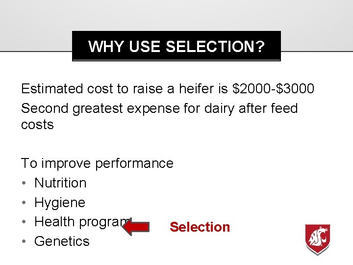 WHY USE SELECTION? Estimated cost to raise a heifer is $2000 -$3000 Second greatest