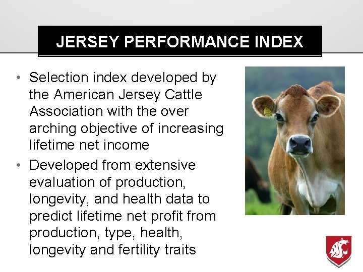 JERSEY PERFORMANCE INDEX • Selection index developed by the American Jersey Cattle Association with