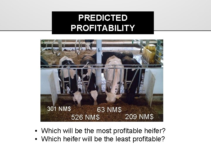PREDICTED PROFITABILITY 301 NM$ 63 NM$ 209 NM$ 526 NM$ • Which will be