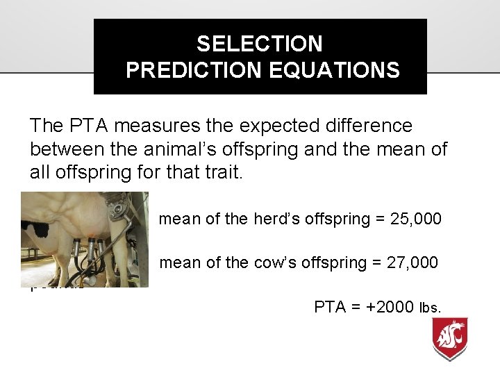 SELECTION PREDICTION EQUATIONS The PTA measures the expected difference between the animal’s offspring and