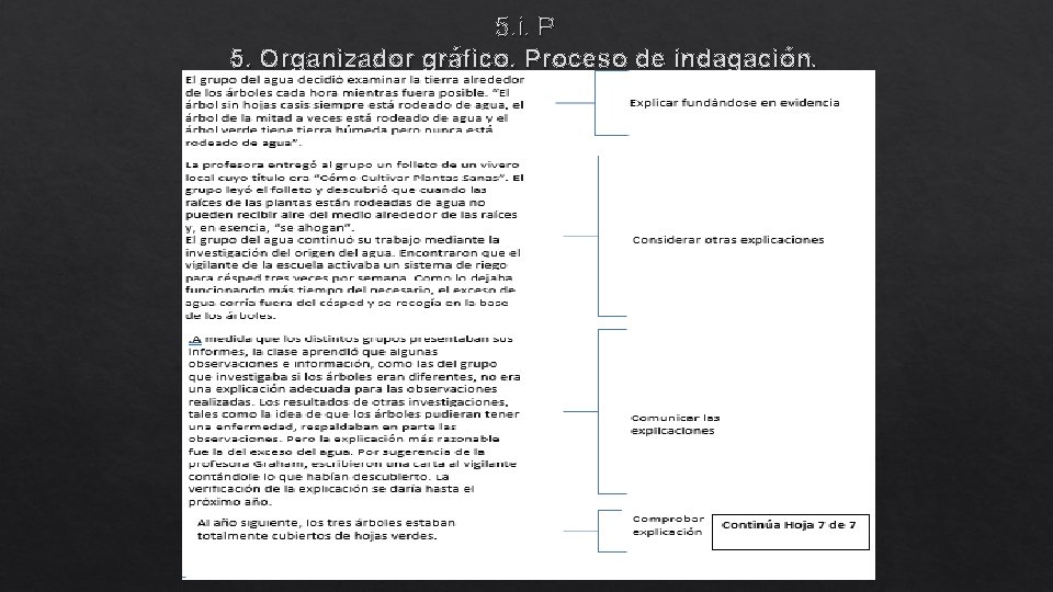 5. i. P 5. Organizador gráfico. Proceso de indagación. 