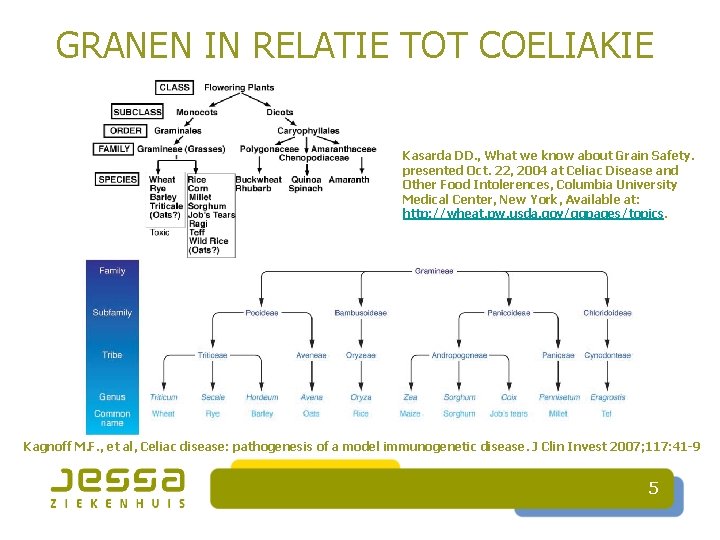 GRANEN IN RELATIE TOT COELIAKIE Kasarda DD. , What we know about Grain Safety.