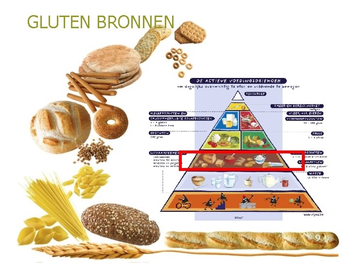 GLUTEN BRONNEN 9 