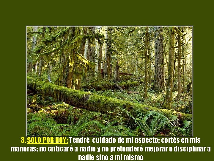 3. SOLO POR HOY: Tendré cuidado de mi aspecto; cortés en mis maneras; no