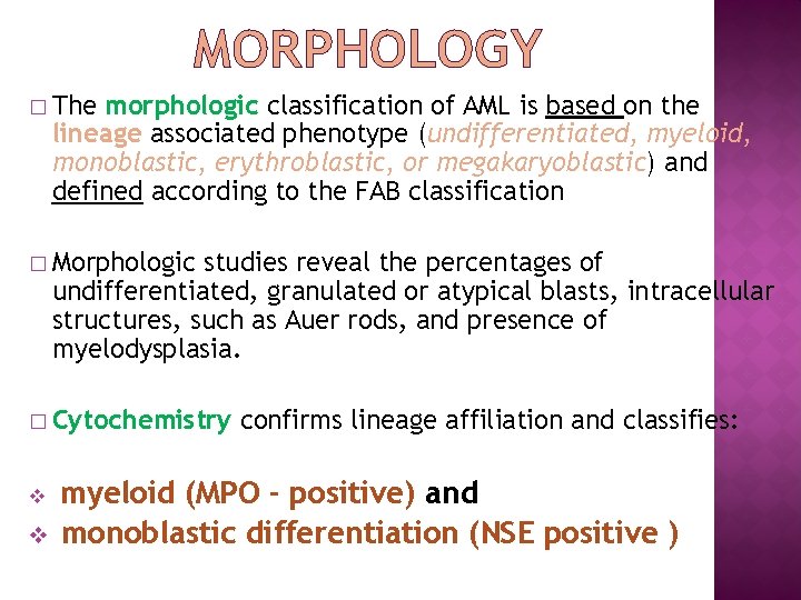 MORPHOLOGY � The morphologic classification of AML is based on the lineage associated phenotype