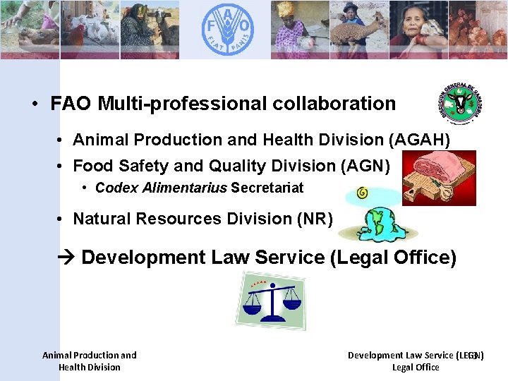  • FAO Multi-professional collaboration • Animal Production and Health Division (AGAH) • Food