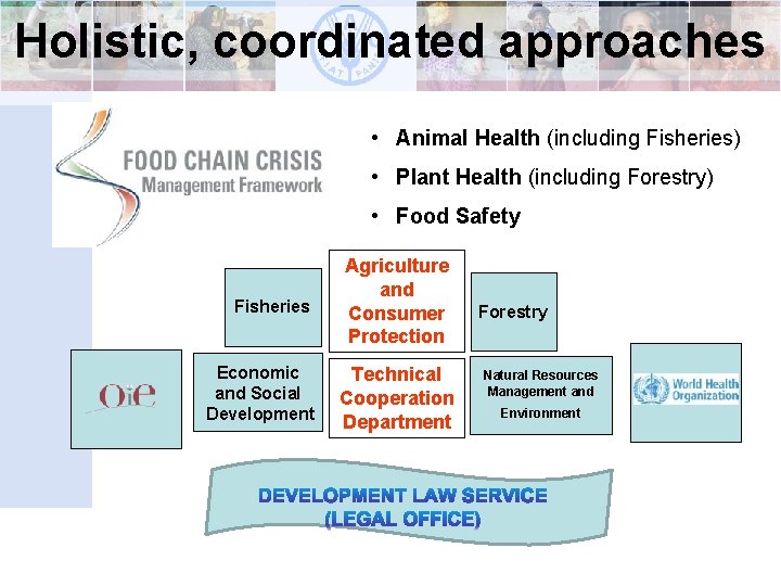 Holistic, coordinated approaches • Animal Health (including Fisheries) • Plant Health (including Forestry) •