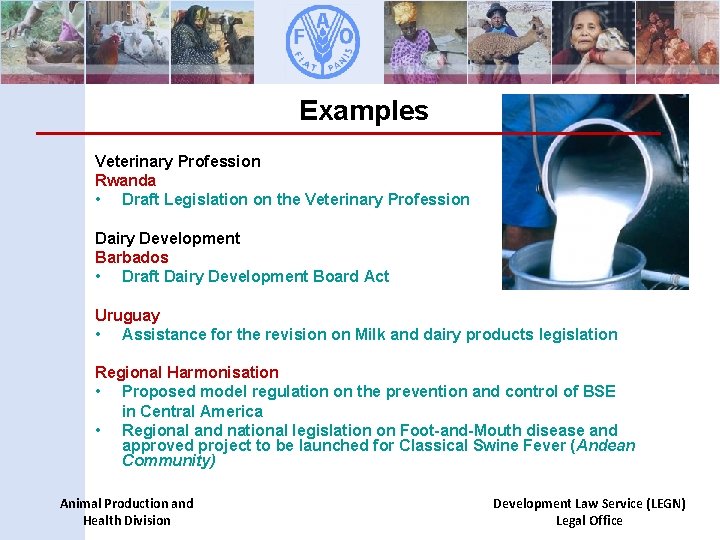 Examples Veterinary Profession Rwanda • Draft Legislation on the Veterinary Profession Dairy Development Barbados