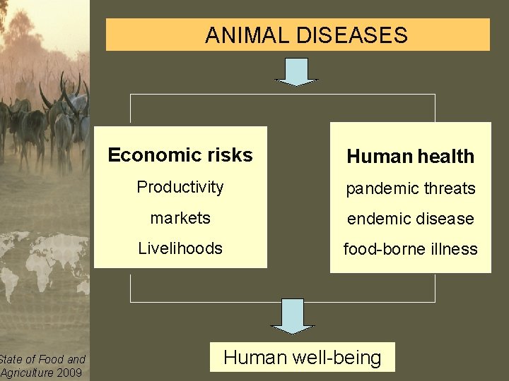 ANIMAL DISEASES Economic risks Human health Productivity pandemic threats markets endemic disease Livelihoods food-borne