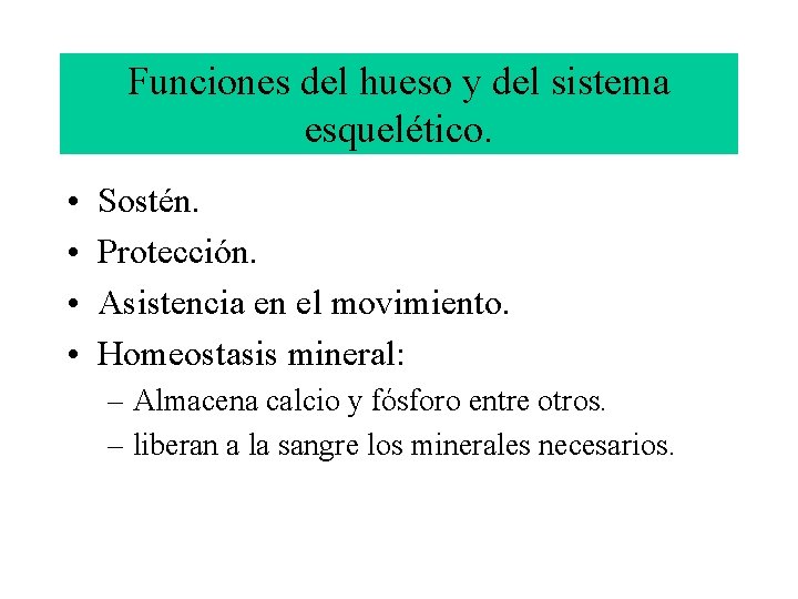 Funciones del hueso y del sistema esquelético. • • Sostén. Protección. Asistencia en el