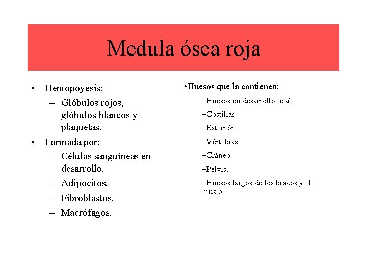 Medula ósea roja • Hemopoyesis: – Glóbulos rojos, glóbulos blancos y plaquetas. • Formada