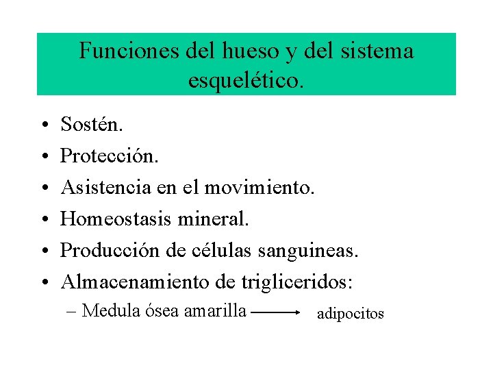 Funciones del hueso y del sistema esquelético. • • • Sostén. Protección. Asistencia en