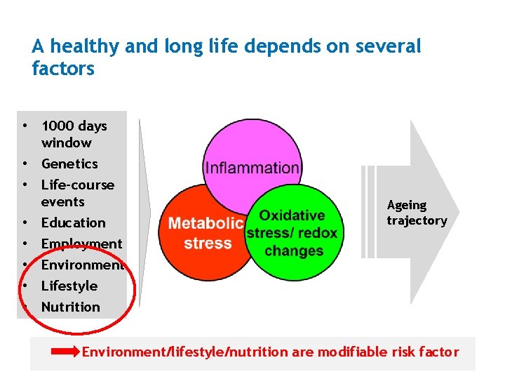 A healthy and long life depends on several factors • 1000 days window •