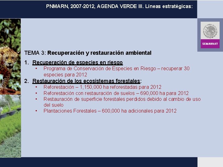 PNMARN, 2007 -2012, AGENDA VERDE III. Líneas estratégicas: TEMA 3: Recuperación y restauración ambiental