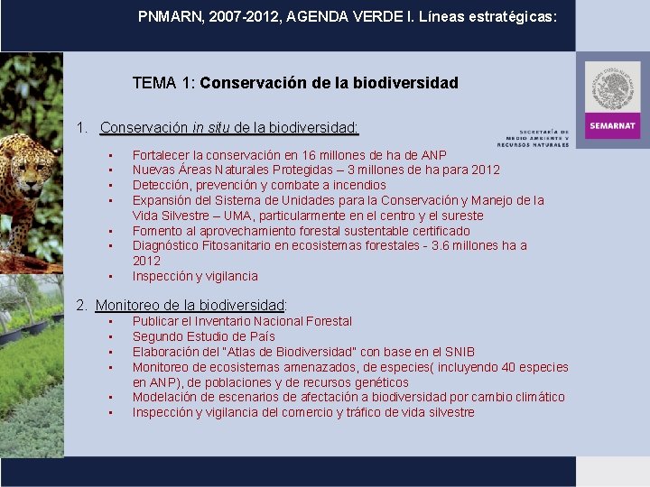 PNMARN, 2007 -2012, AGENDA VERDE I. Líneas estratégicas: TEMA 1: Conservación de la biodiversidad