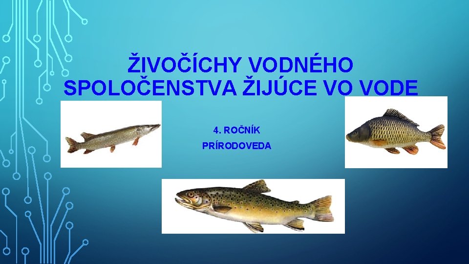 ŽIVOČÍCHY VODNÉHO SPOLOČENSTVA ŽIJÚCE VO VODE 4. ROČNÍK PRÍRODOVEDA 