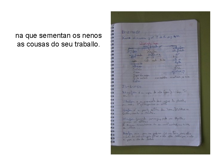 na que sementan os nenos as cousas do seu traballo. 