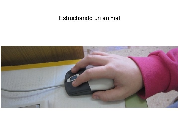 Estruchando un animal 