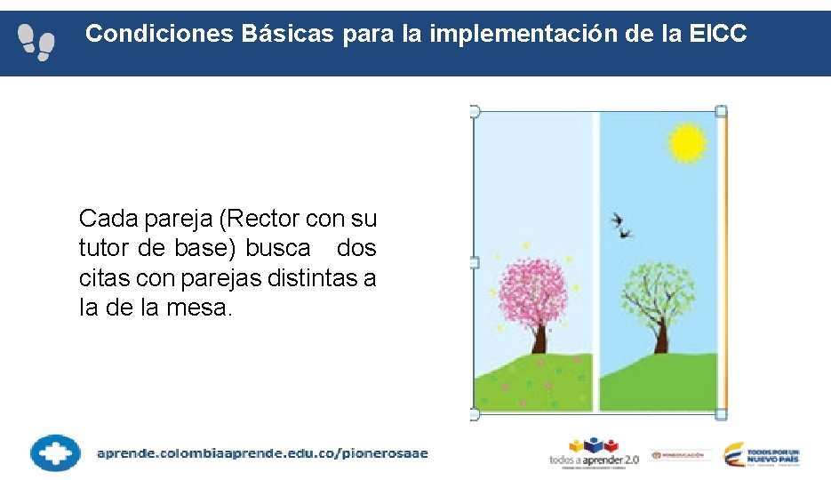 Condiciones Básicas para la implementación de la EICC Cada pareja (Rector con su tutor